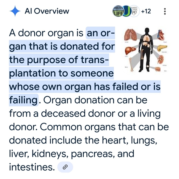 Green Organ Donation Awareness Ribbon - Picture 3 of 3